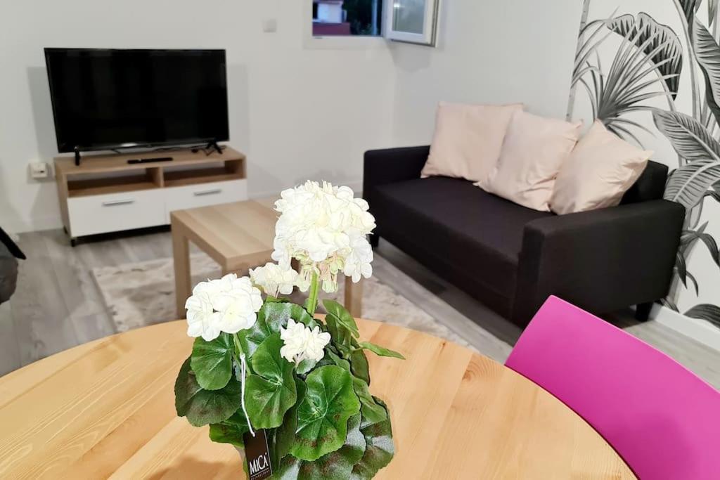 Appartement Tres Lumineux Et Calme. Sevran Εξωτερικό φωτογραφία